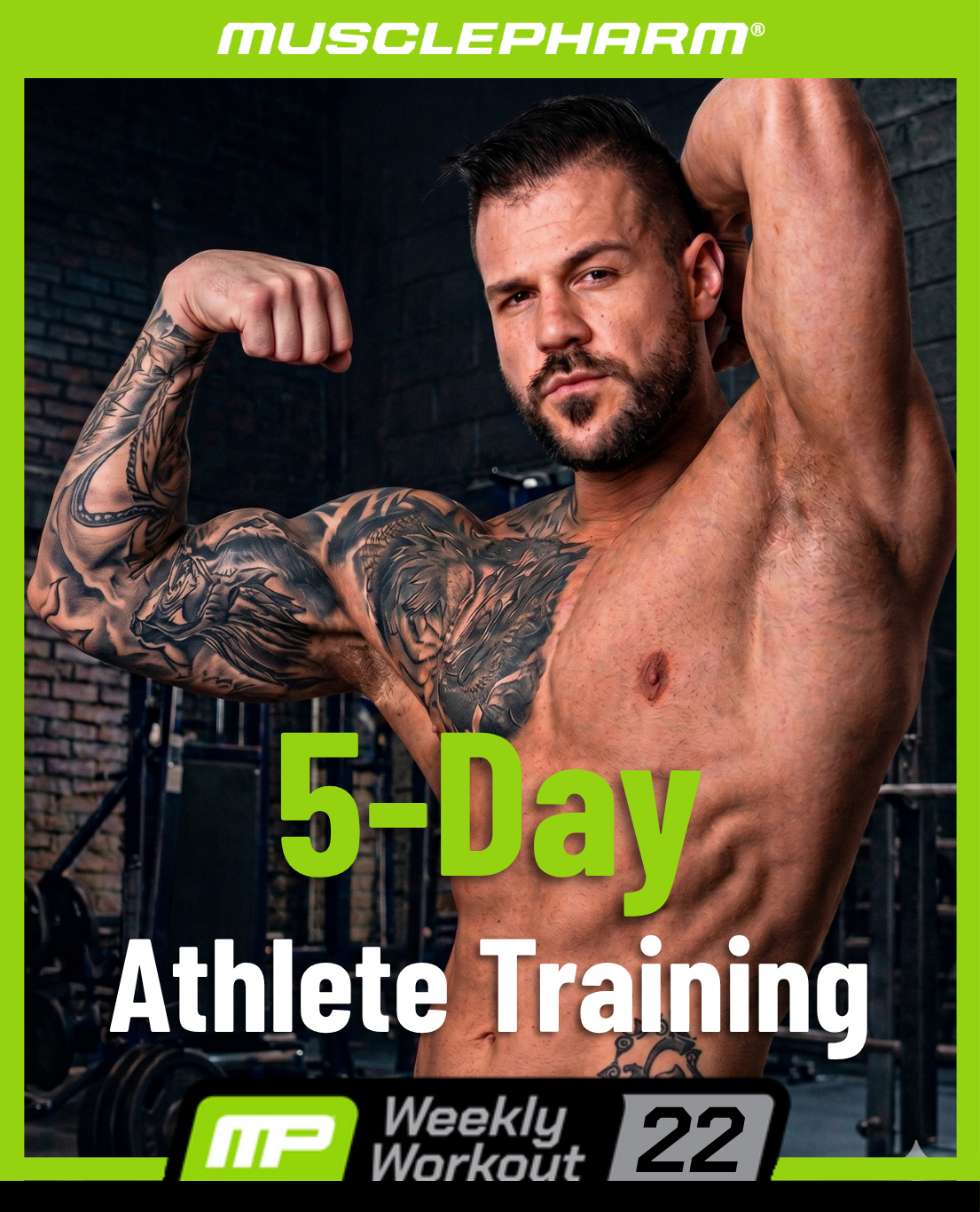 Weekly Workout 22