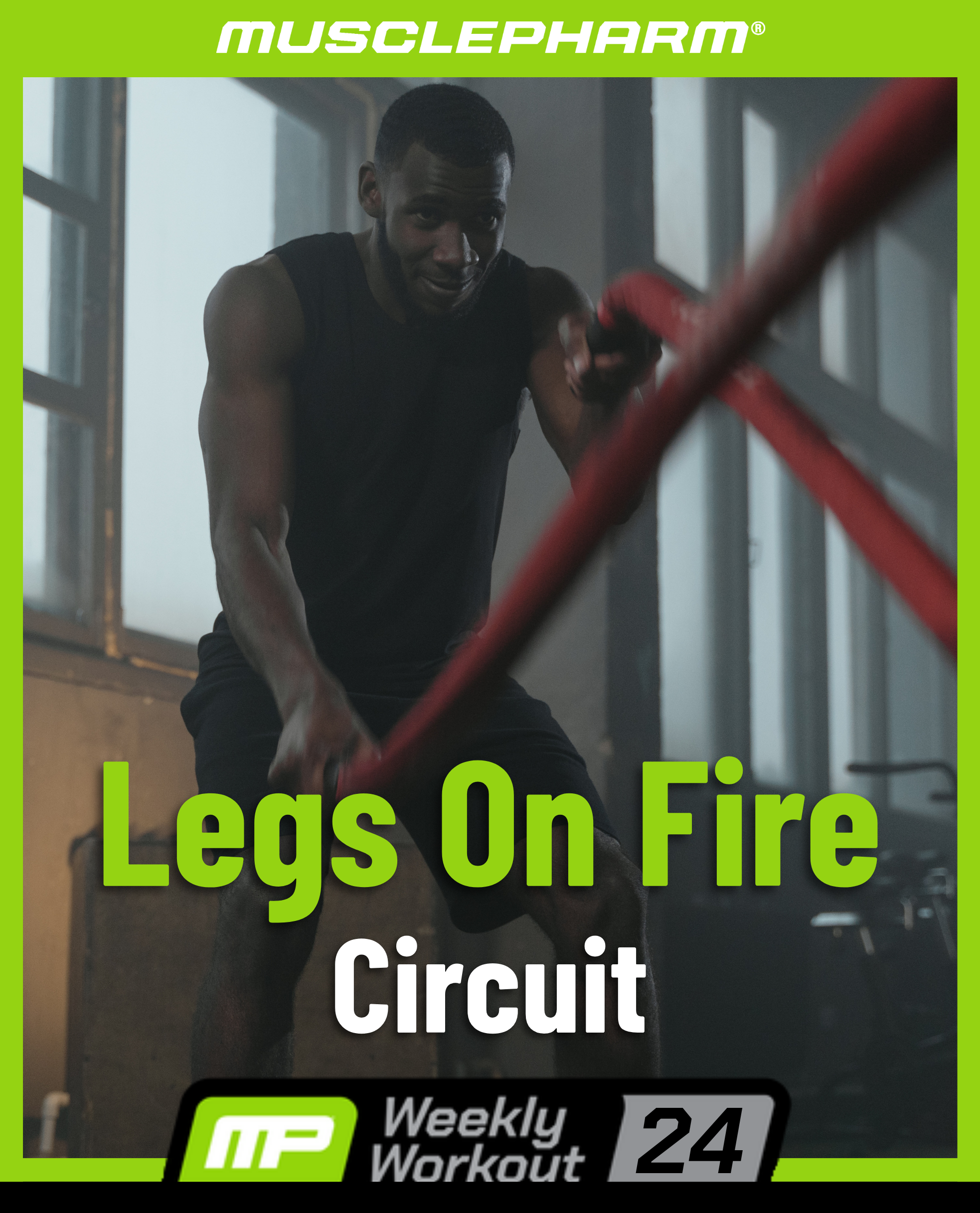 Weekly Workout 24