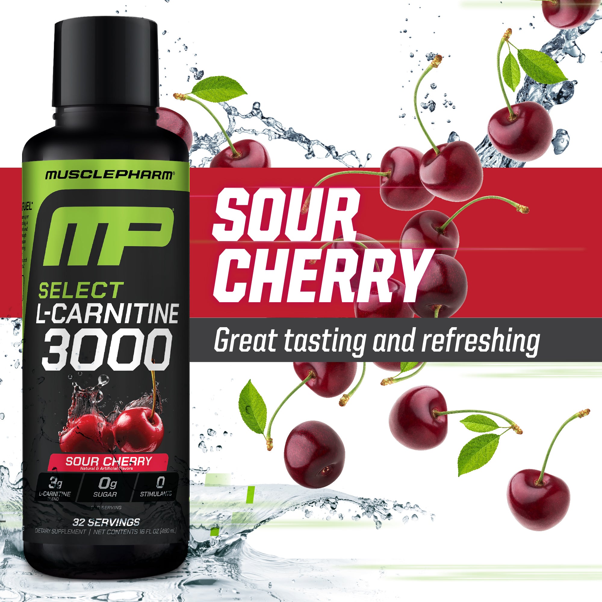 SELECT L-CARNITINE 3000