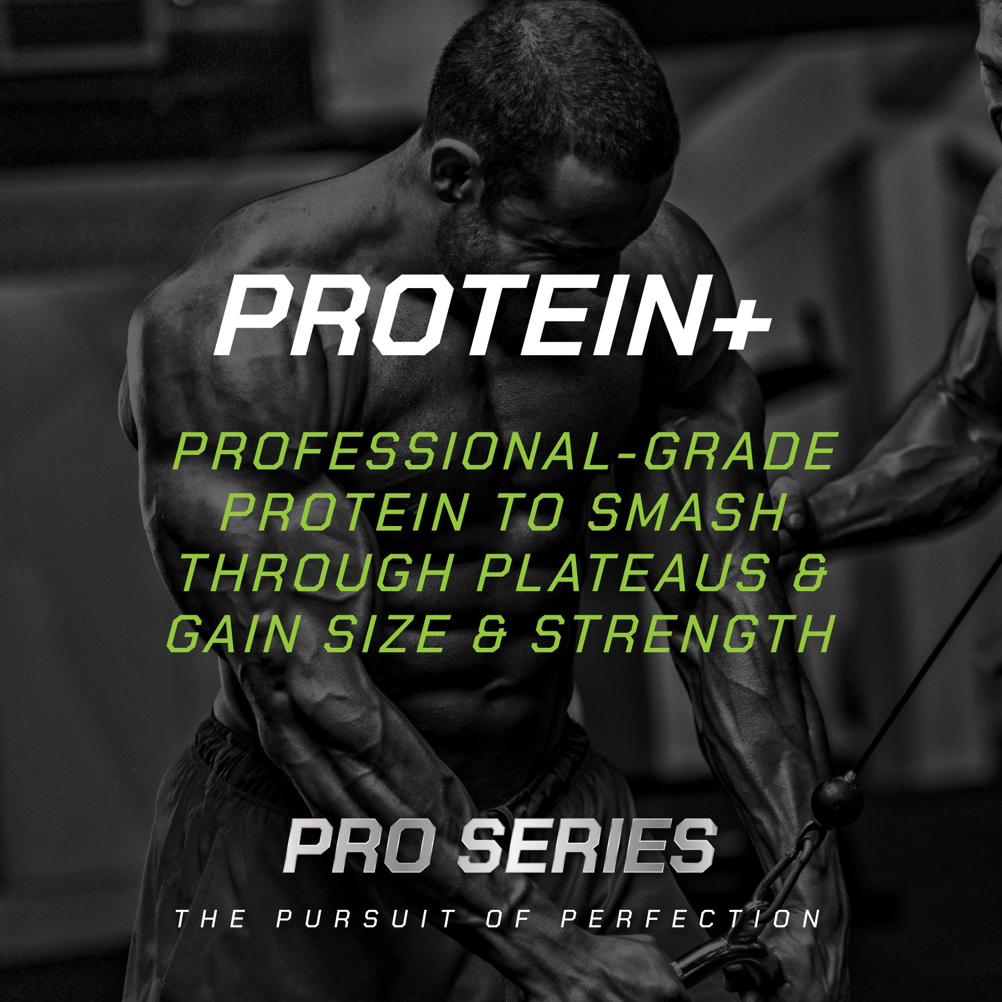 PRO SERIES PROTEIN+