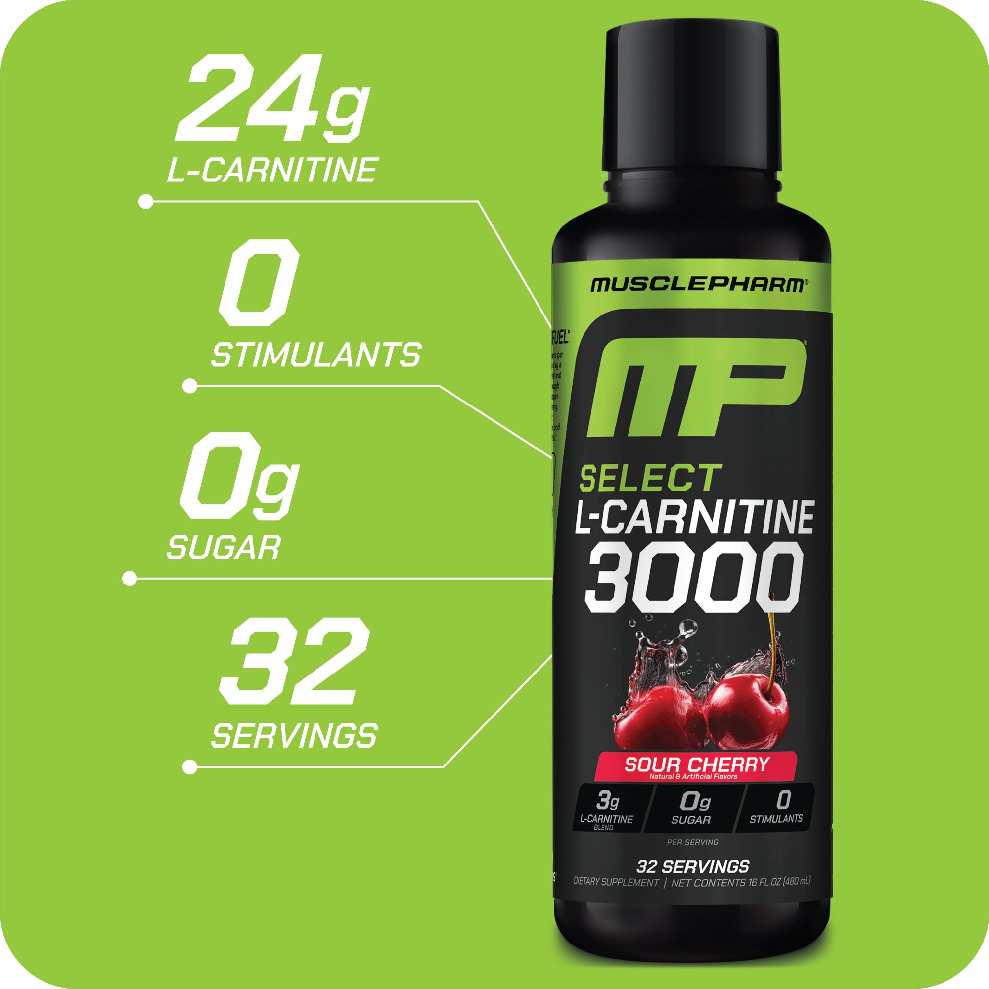SELECT L-CARNITINE 3000