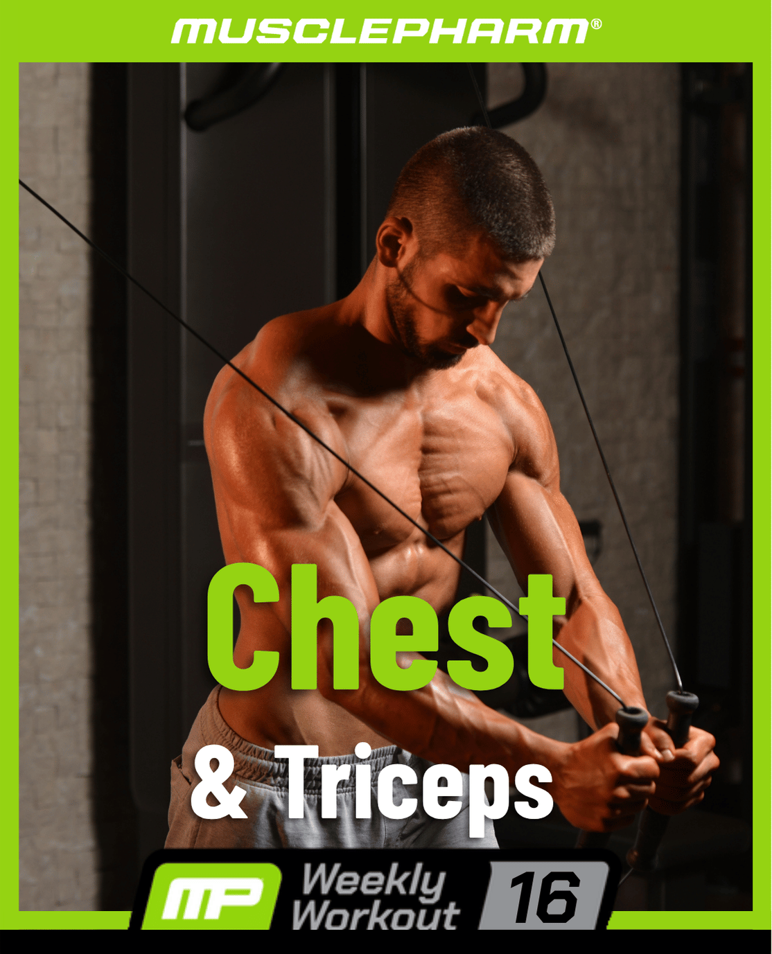 Weekly Workout 16
