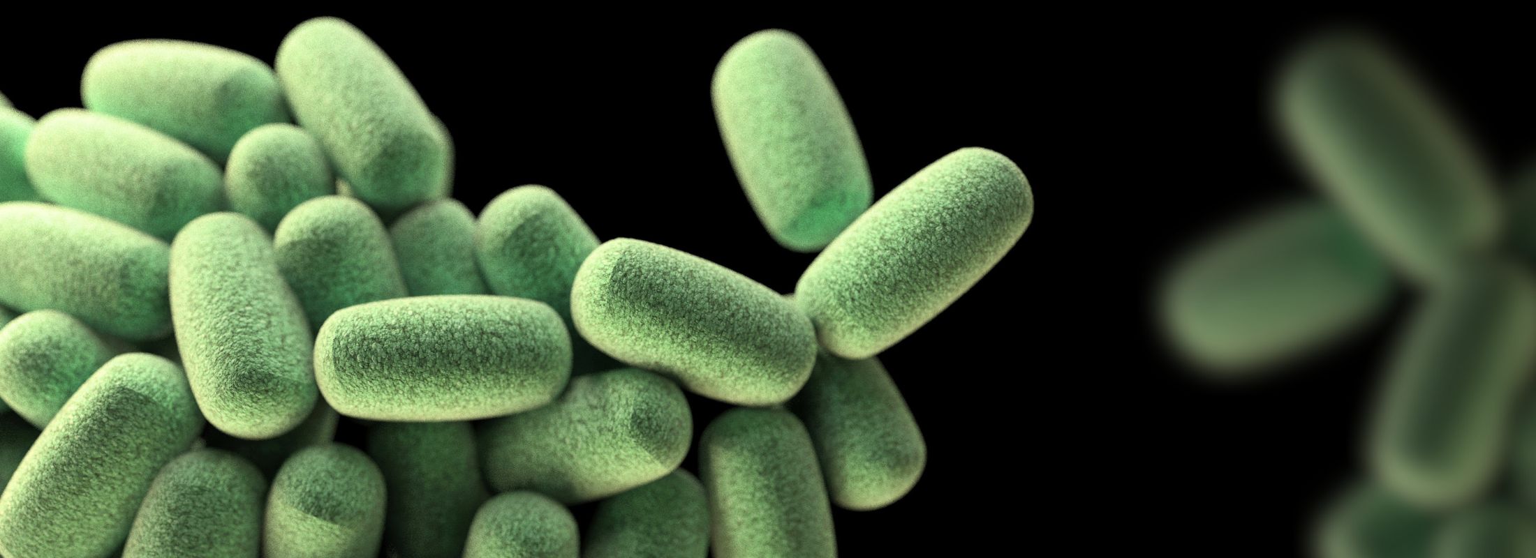 Could Gut Health Be Your "Missing Link"?