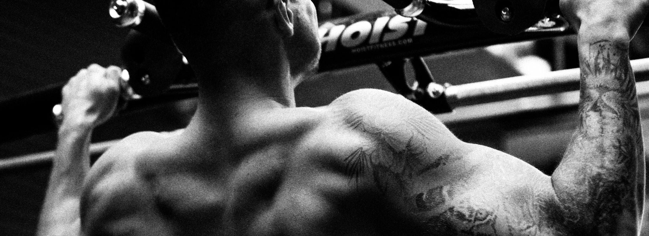 The Ultimate 10-Week Cut: Week 3