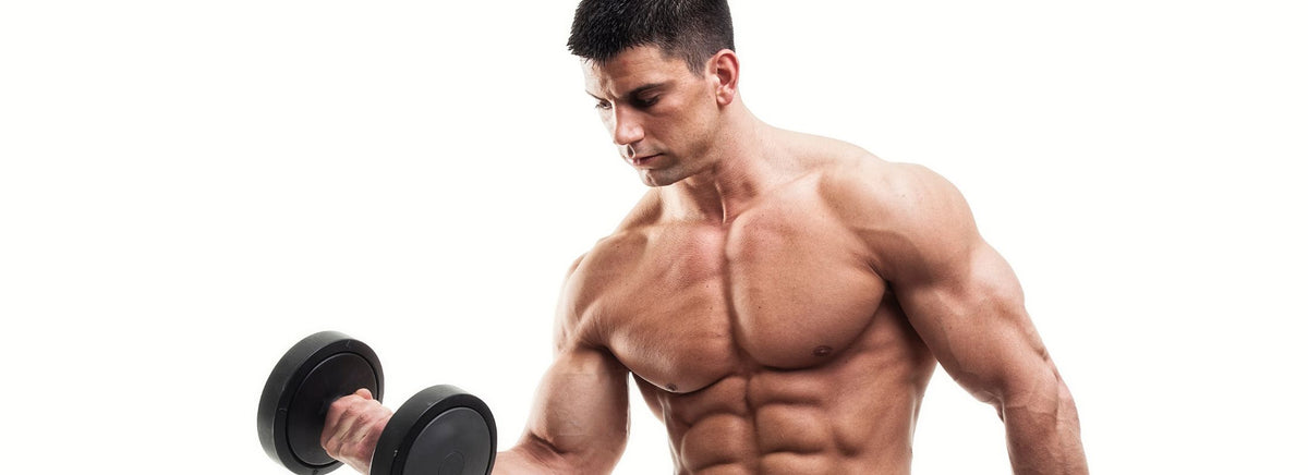 MusclePharm graphic featuring a muscular shirtless male athlete doing a seated dumbbell bicep curl for Summer Shred Week 7.