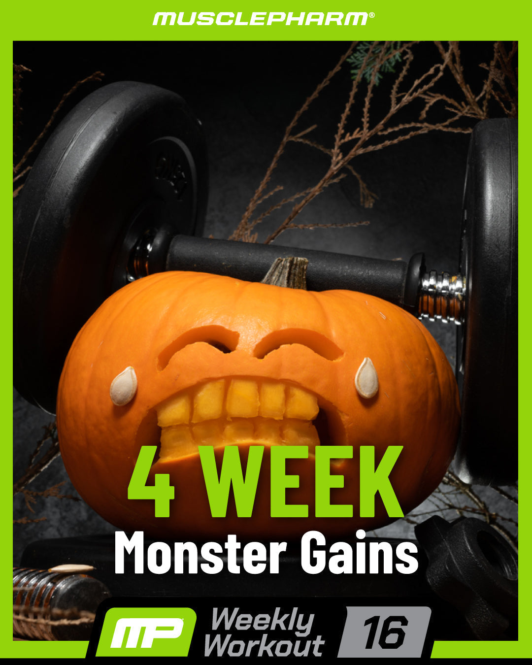 Weekly Workout 16