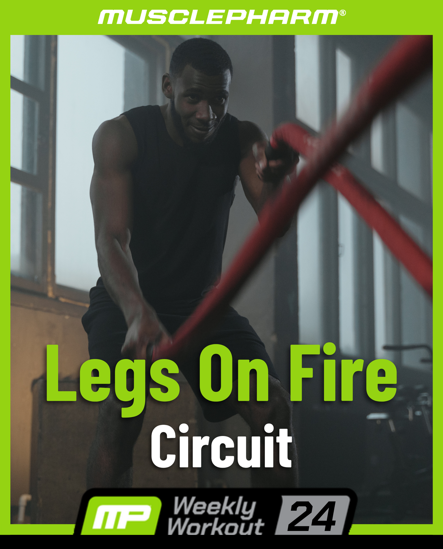 Weekly Workout 24