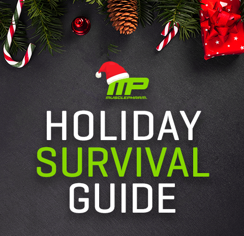 Festive holiday graphic with pine branches, ornaments, and text reading Holiday Survival Guide.